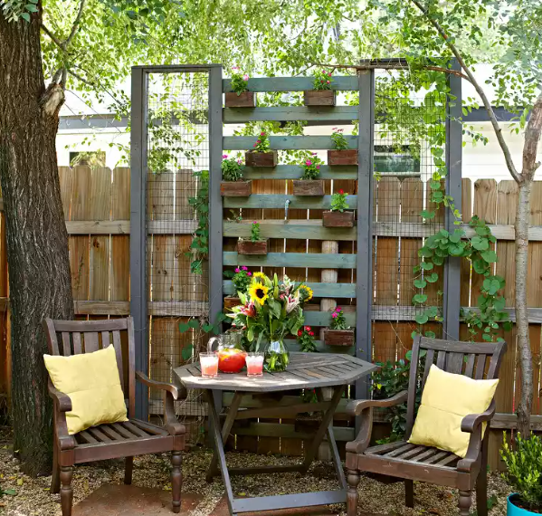 Tiny Yard? No Problem! Grow Up with Vertical Gardens