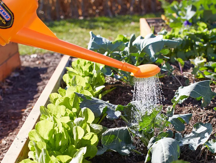 7 Simple Tips for Watering Your Vegetable Garden Like a Pro