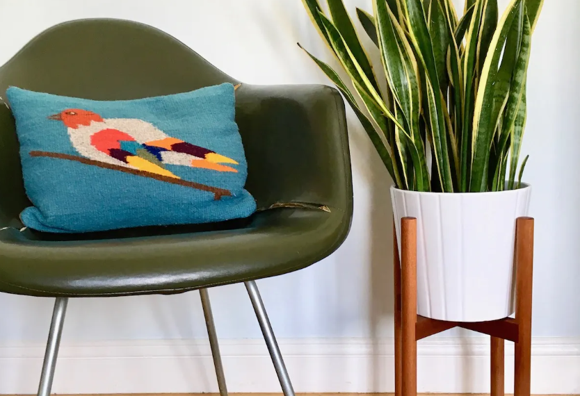 6 DIY Projects for Plant Lovers