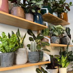 Transform Your Space with These 9 DIY Vertical Herb Gardens