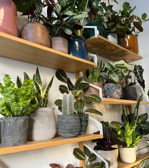 Transform Your Space with These 9 DIY Vertical Herb Gardens